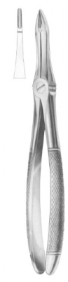  Fig. 41 upper roots 